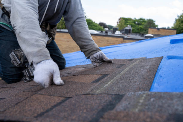Gutter Installation and Roofing in Dade City North, FL